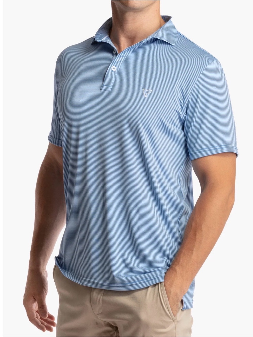 Birddogs Small - Gary’s Anatomy Men's Light Blue Micro-Stripe Polo
